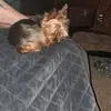 vickieason1 - @vicki.eason2 - TikTok