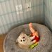 Vickie Edwards - Facebook