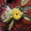 vickieedwards26 - @vickie.edwards34 - TikTok