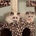 Vickie Erickson - @vickie.erickson.16503 - Instagram