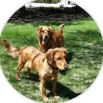 Vickie Erickson - @_vickie.erickison.98 - Instagram