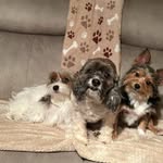 Vickie Erickson - @vickieerickson392 - Instagram