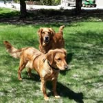 Vickie Erickson - @vickie.erickson.98 - Instagram