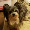 Vicki Estes - @vicki.estes25 - TikTok