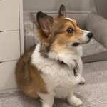 Vickie Everett - @not.rocketraccoon1 - Instagram