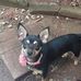 Vickie Everette - Facebook