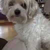 vickiefarmer53 - @vickiefarmer53 - TikTok
