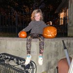 Vicki Ferrell - @schnauzerlover3 - Instagram
