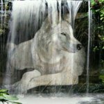 Vickie Ferrell - @pvf5957 - Instagram