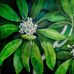 Vickie Lucas Fine Art Painter - Facebook