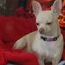 Vickie Finley - Facebook