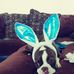 Vickie Fish - Facebook