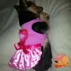 Vickie Fish - @user363987195 - TikTok
