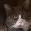 vickiefish2 - @vickiefish2 - TikTok