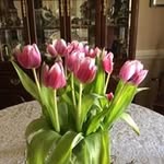 Vickie Crayton Foley - @vickie.foley68 - Instagram