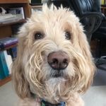 Vicki Foreman - @vickiforeman57 - Instagram