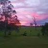 Vicki Forrest - @vicki.forrest - TikTok