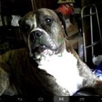 Vickie Hale - @angelwings331 - Instagram