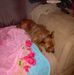 Vickie Head - Facebook