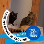 Vicki High - @high207 - Instagram