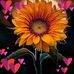 Vickie High - Facebook