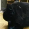 Vickie Hoff - @vickie.hoff - TikTok
