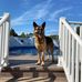 Vicki Hooker - Facebook