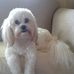 Vickie Hooper - Facebook