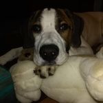 Vickie Dailey Stone - @vickiejoystone - Instagram