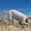 vickiejoy63 - @vickiejoy63 - TikTok