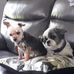 Vickie Keener - Facebook