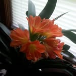 Vickie Keller - @vickiekeller56 - Instagram