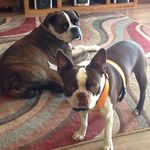 Vickie Long McDonald - @vickie.l.mcdonald.3 - Instagram