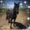 vickielongstaff - @vickielongstaff - TikTok