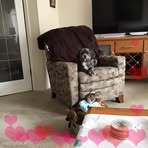 Vickie Mason - Facebook