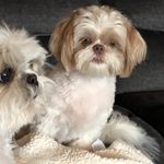 Vicki McHenry - @venders57 - Instagram
