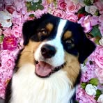 Vickie Batchelder McNulty - Facebook
