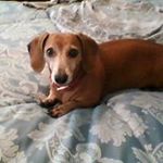 Vickie Meeks - @vmeeks1950 - Instagram