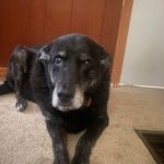 Vicki Messer Hodge - @vmhodge - Instagram