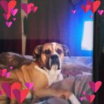 Vickie Messer - Facebook