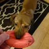 Vickie Meyer455 - @vickiemeyer455 - TikTok