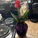Vickie Michelle Cook Miranda - Facebook