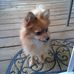 Vickie Moran - Facebook