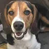 vickiemuncy1 - @vickiemuncy1 - TikTok