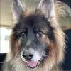 Vicki Sacco Nance - @vicki.sacco.nance - TikTok