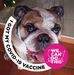 Vickie Neumann - Facebook
