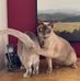 Vicki Newell - Facebook
