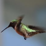 Vickie Newell - @vickienewell8 - Instagram