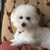 Vicki Nolan - Facebook