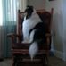 Vickie Nolan - Facebook